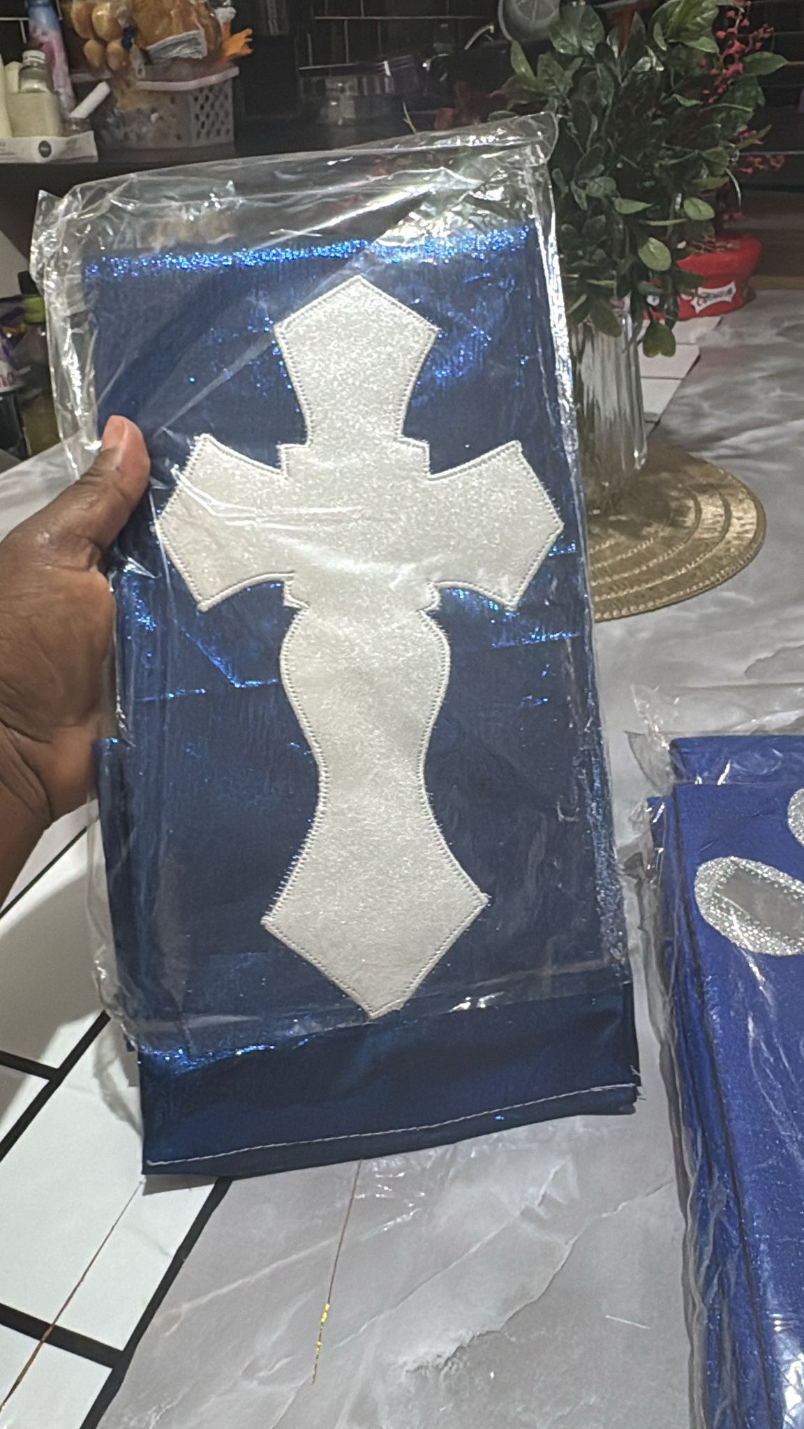 Blue Loin